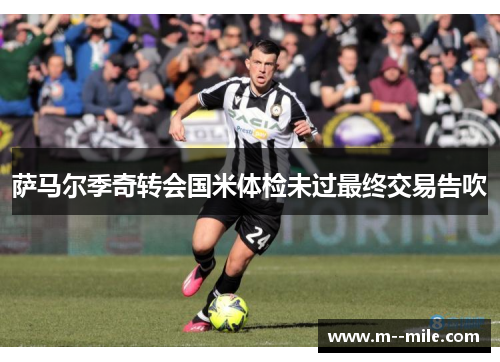 萨马尔季奇转会国米体检未过最终交易告吹 萨马尔季奇转会国米体检未过最终交易告吹